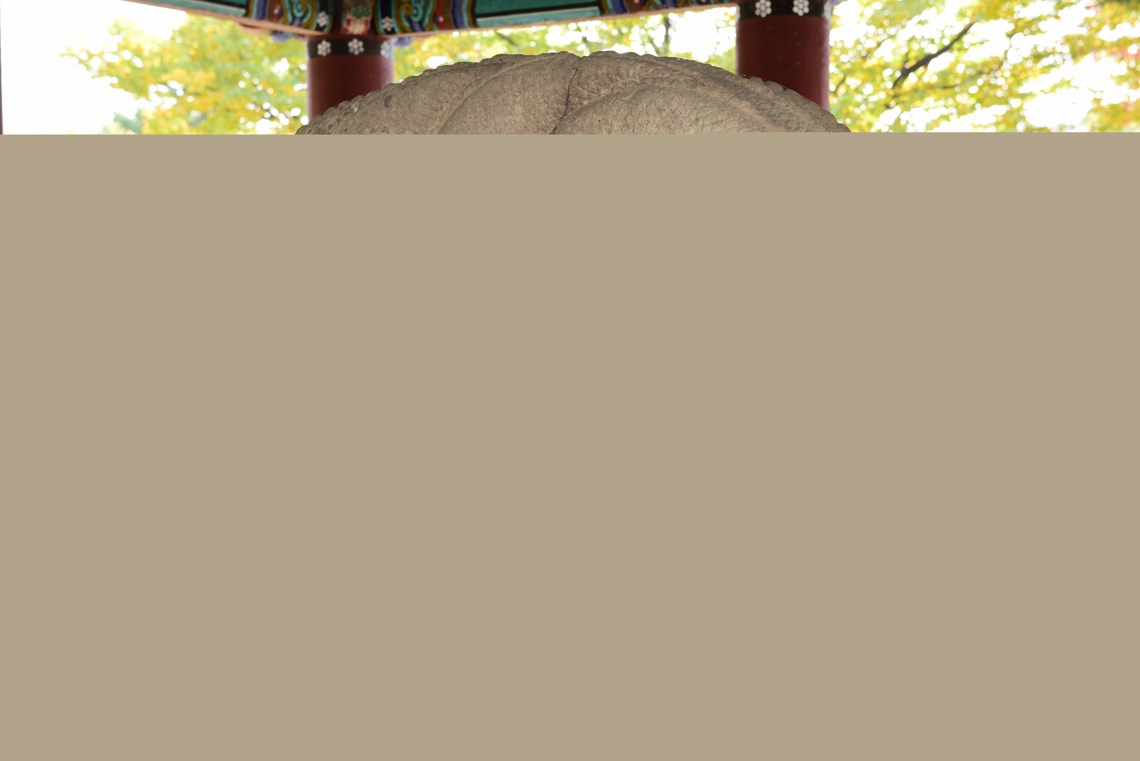 경주 태종무열왕릉비_이수 뒷면 (촬영년도 : 2015년)