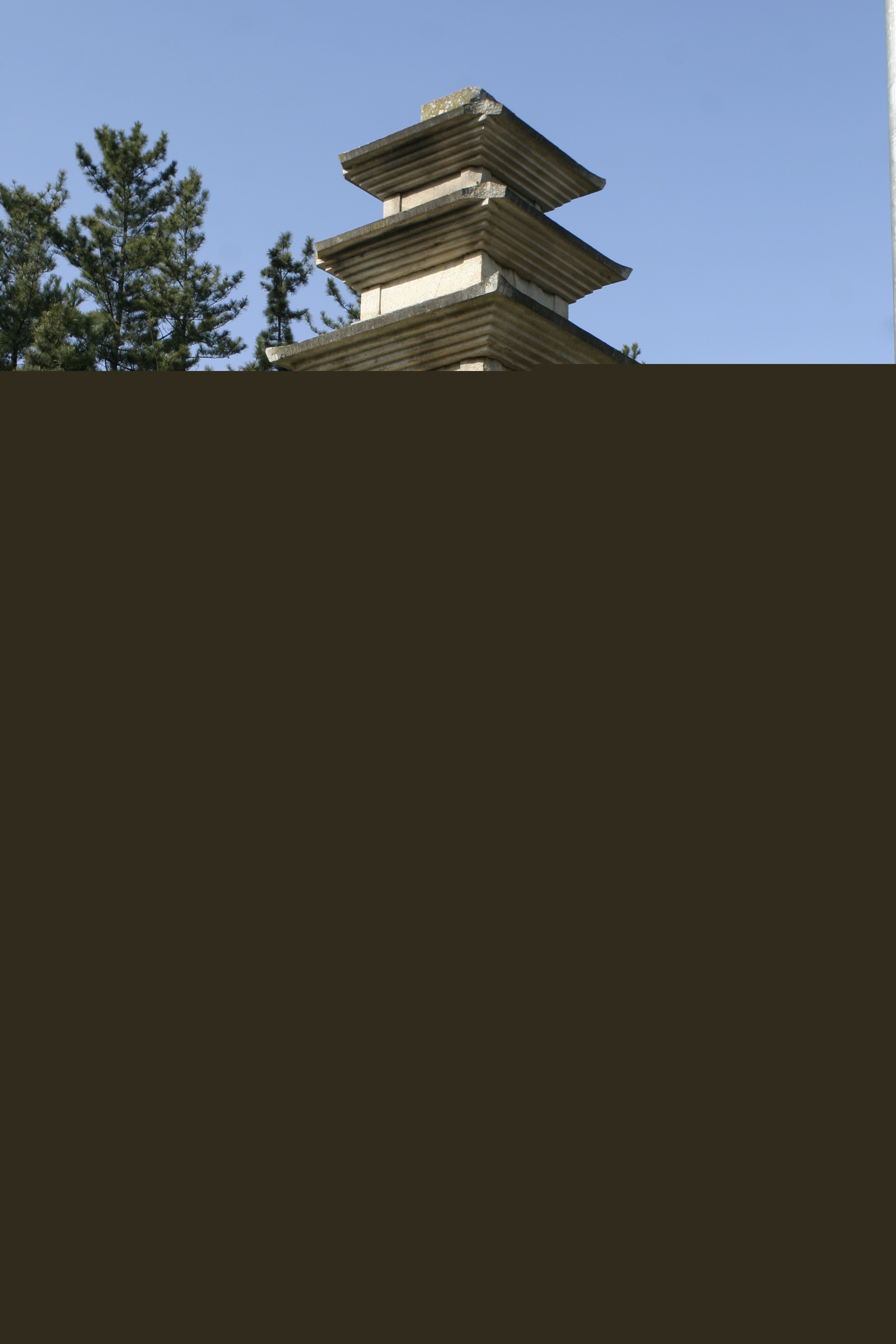 경주 나원리 오층석탑_전경_건축_2007년(출처 : 국립문화재연구소)