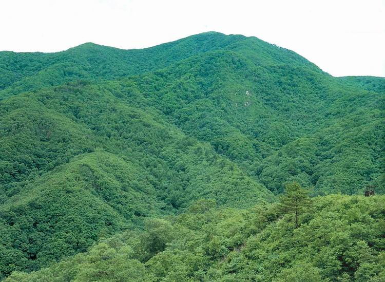 대암산,대우산천연보호구역