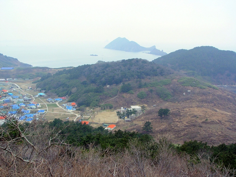 보령 외연도 상록수림