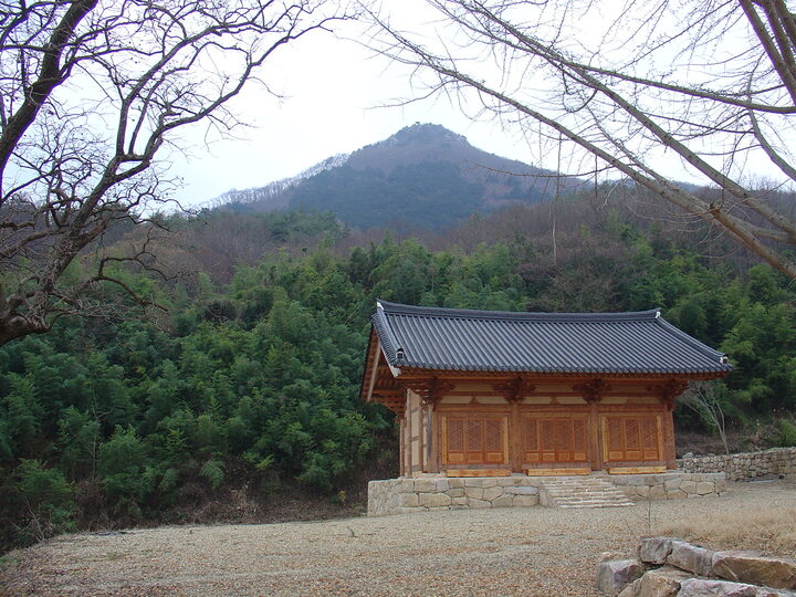 화순개천산 비자나무숲