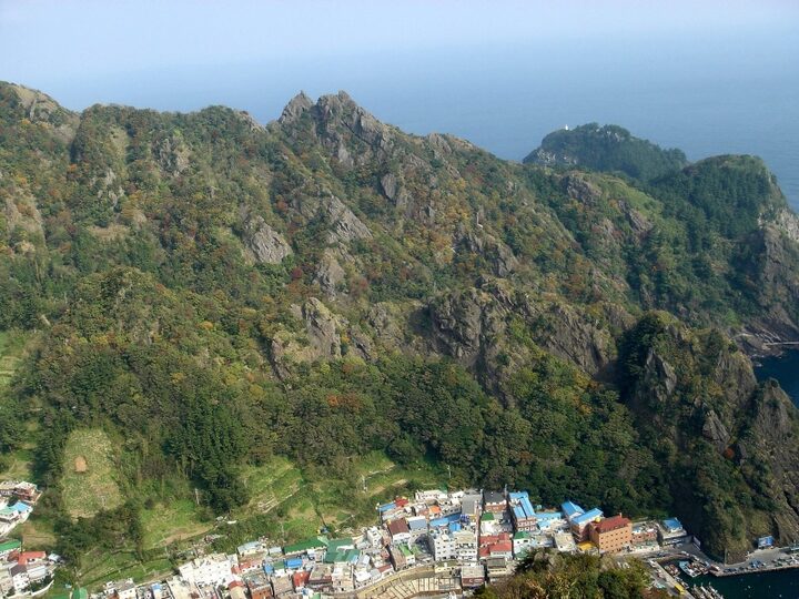 울릉 도동 섬개야광나무와 섬댕강나무군락