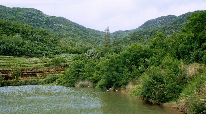 전경