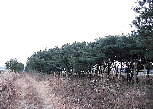 포항북송리북천수