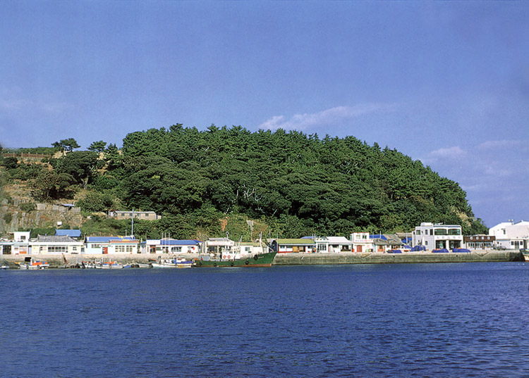 욕지면의모밀잣밤나무숲
