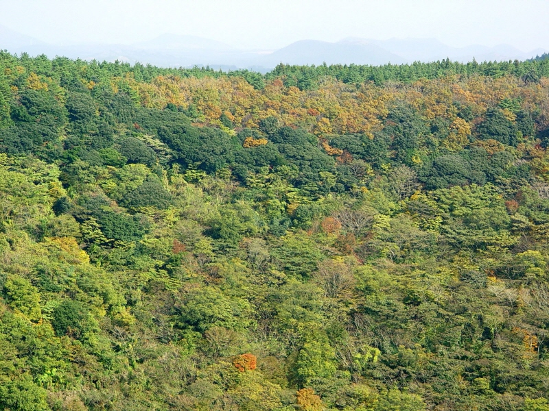 산굼부리 분화구