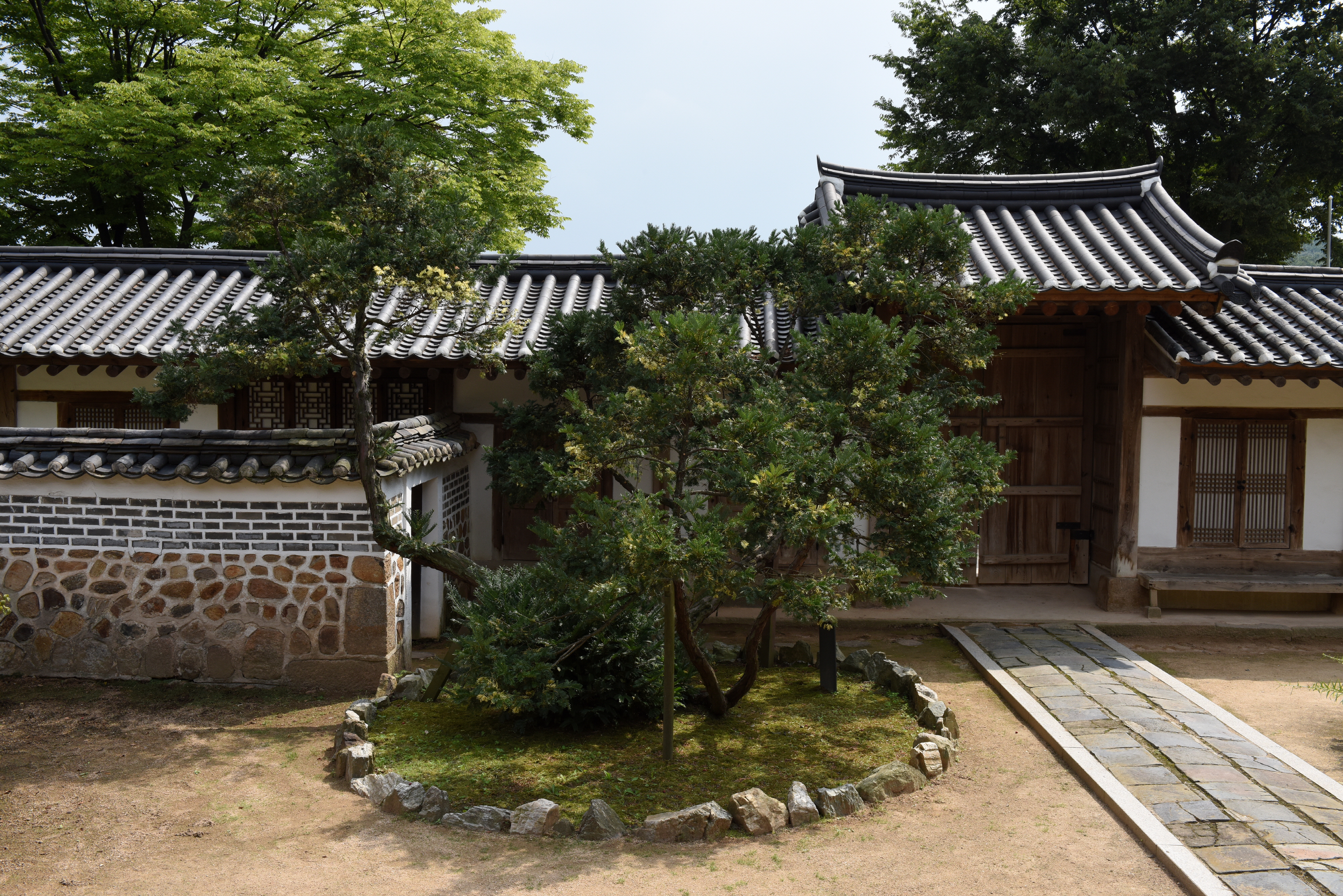 화성 융릉 개비자나무_사당전경1 (촬영년도 : 2015년)