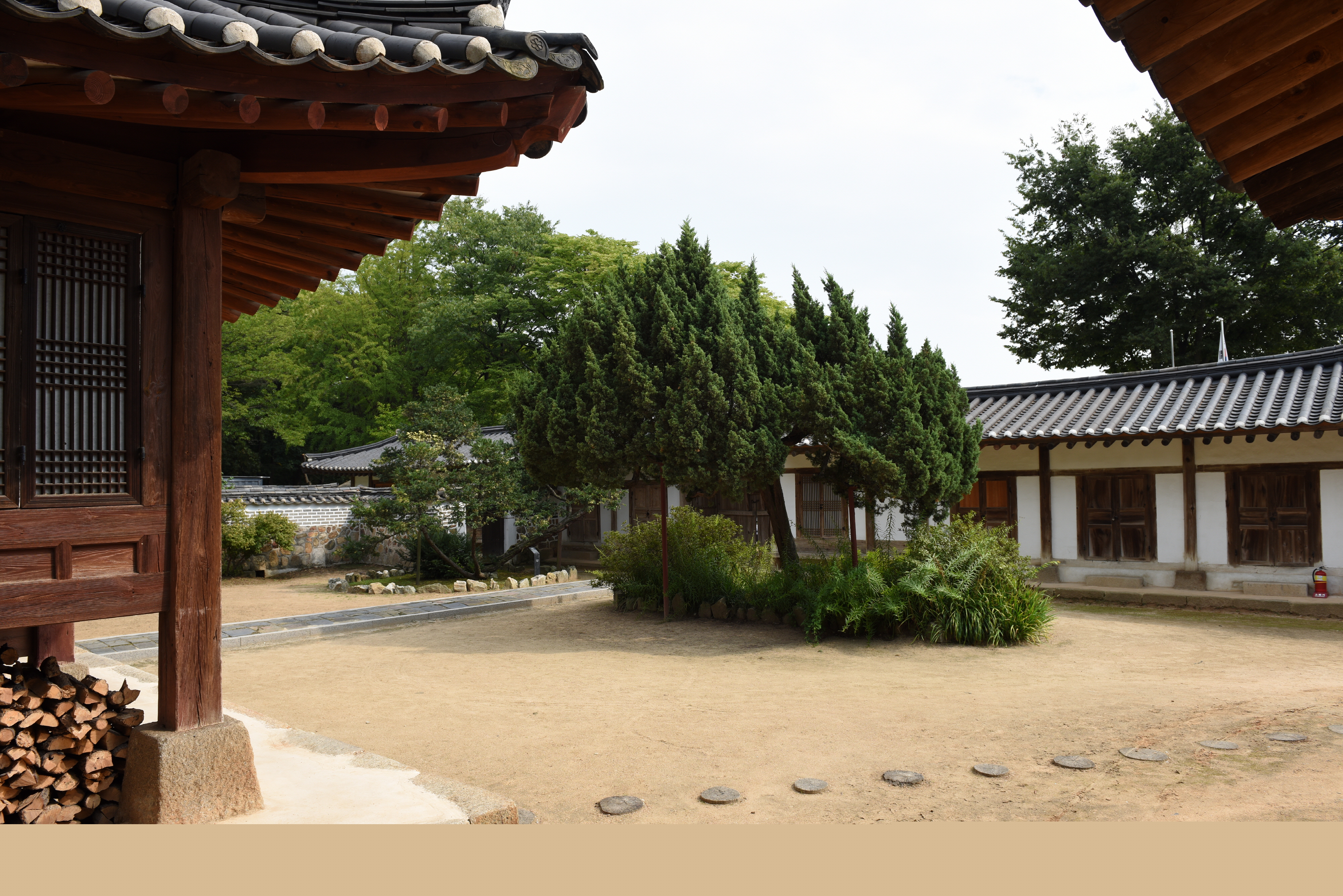 화성 융릉 개비자나무_사당전경2 (촬영년도 : 2015년)