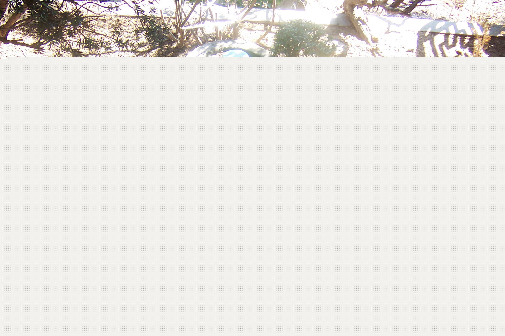 홍지동 이광수 별장터 우물/문화재청