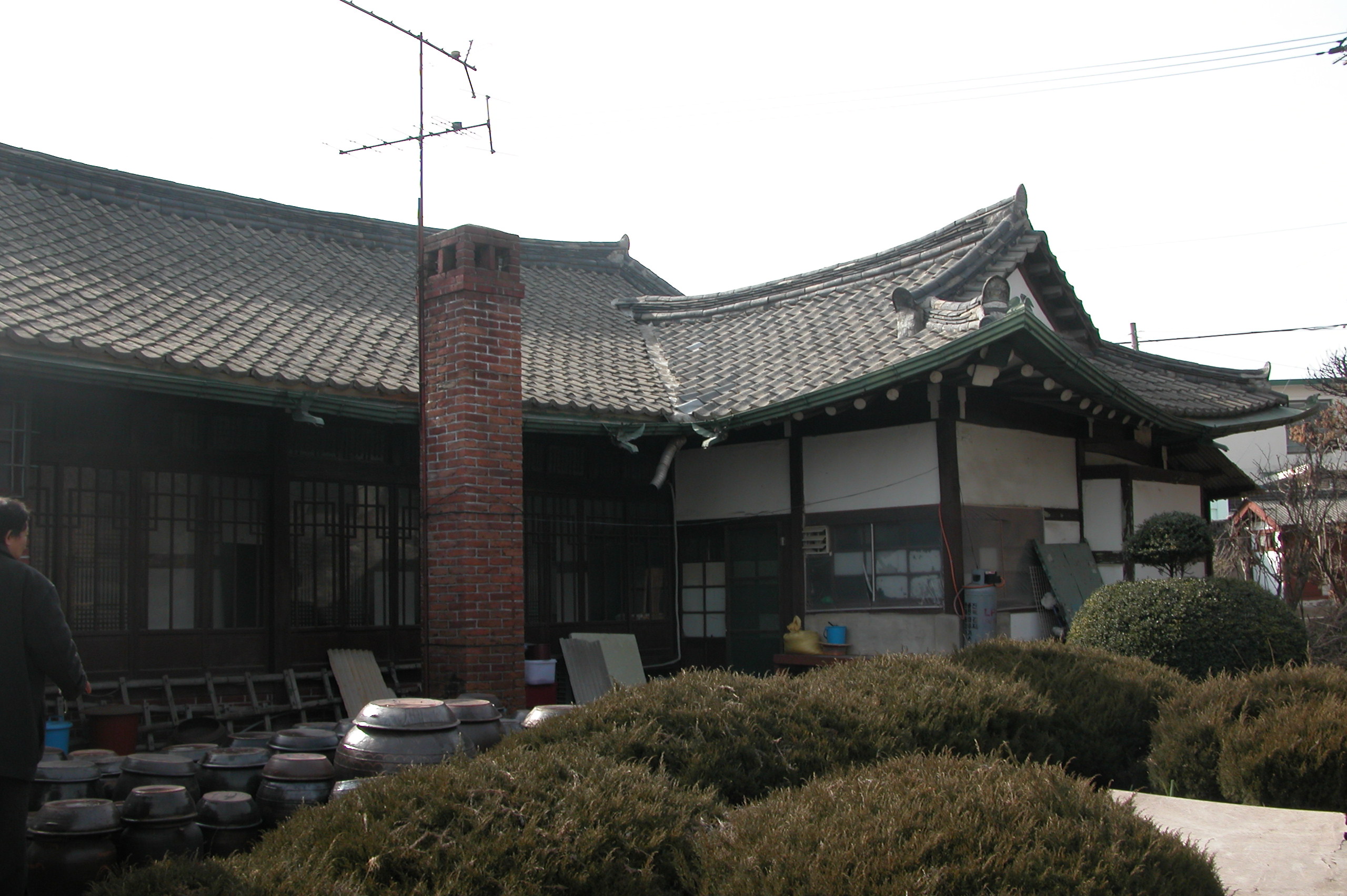 배면