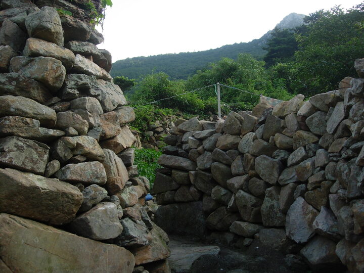 DSCN5536