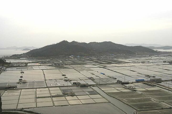 01.비금도대동염전-전경