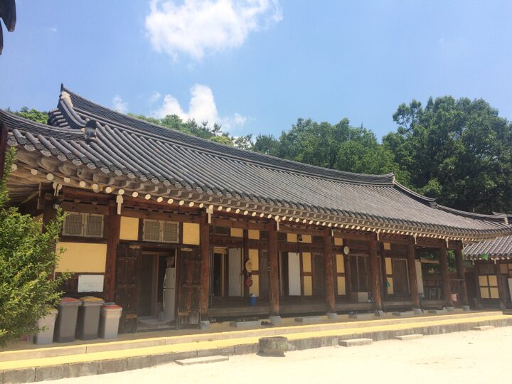 현지사진