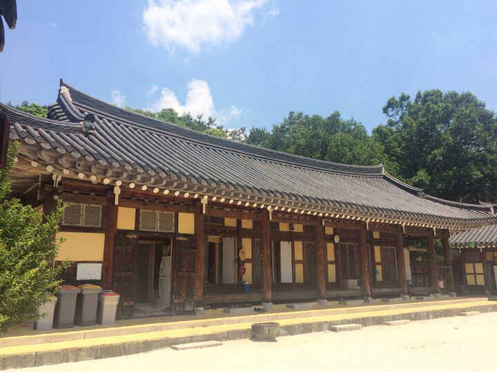 현지사진