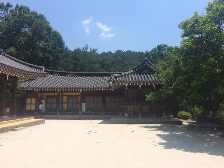 현지사진