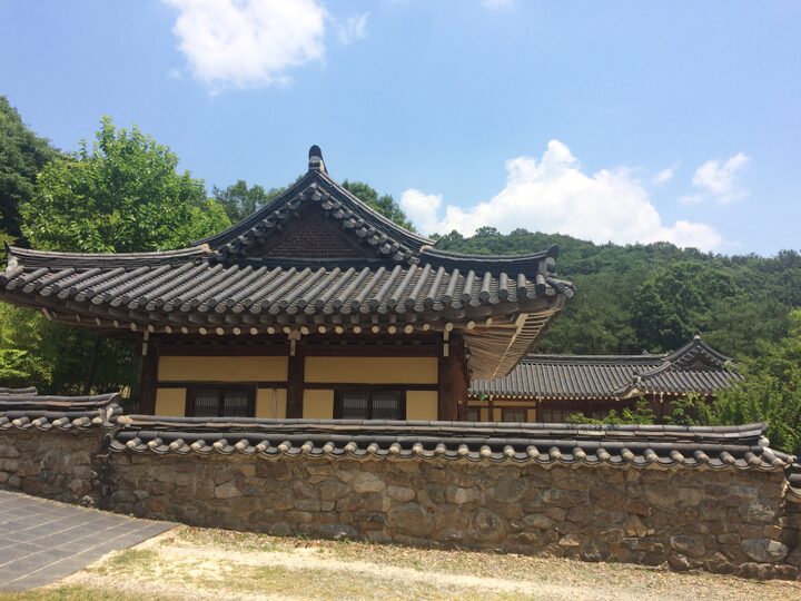 현지사진