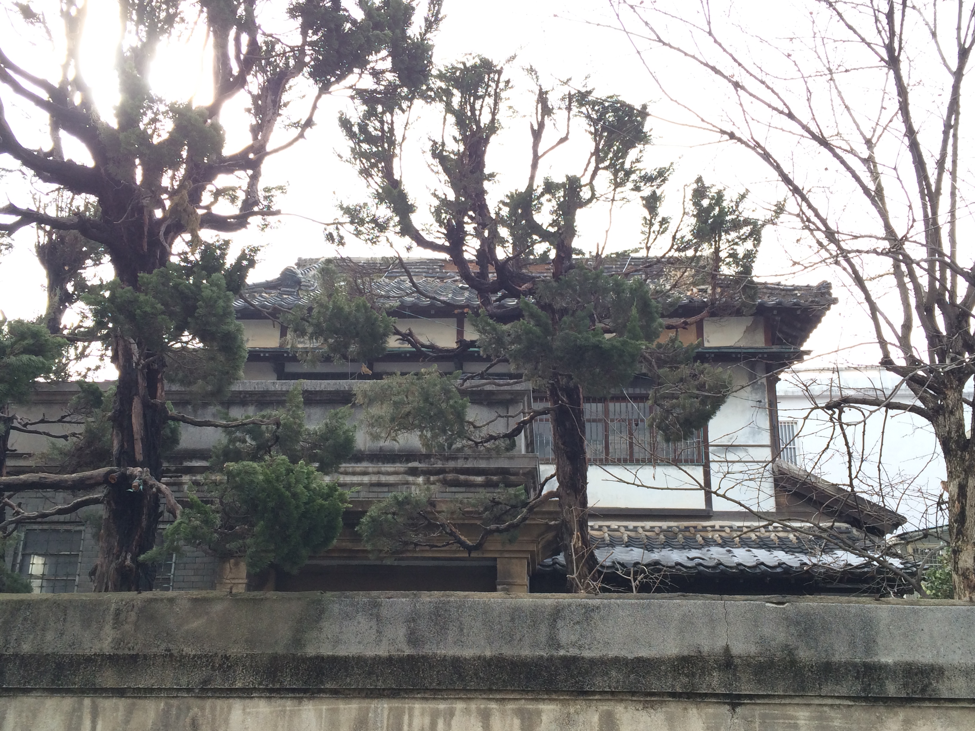 군산 구 십자의원