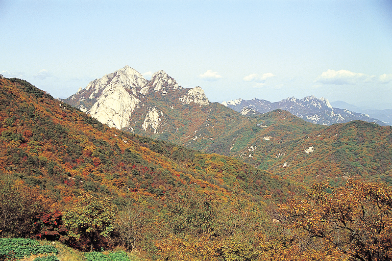 삼각산단풍