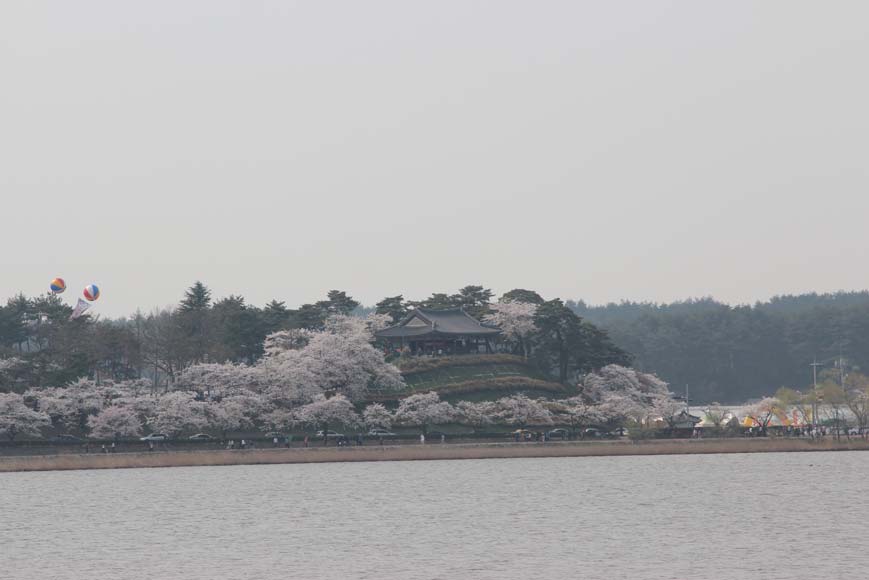 경포대 원경 (강릉시 사진제공)