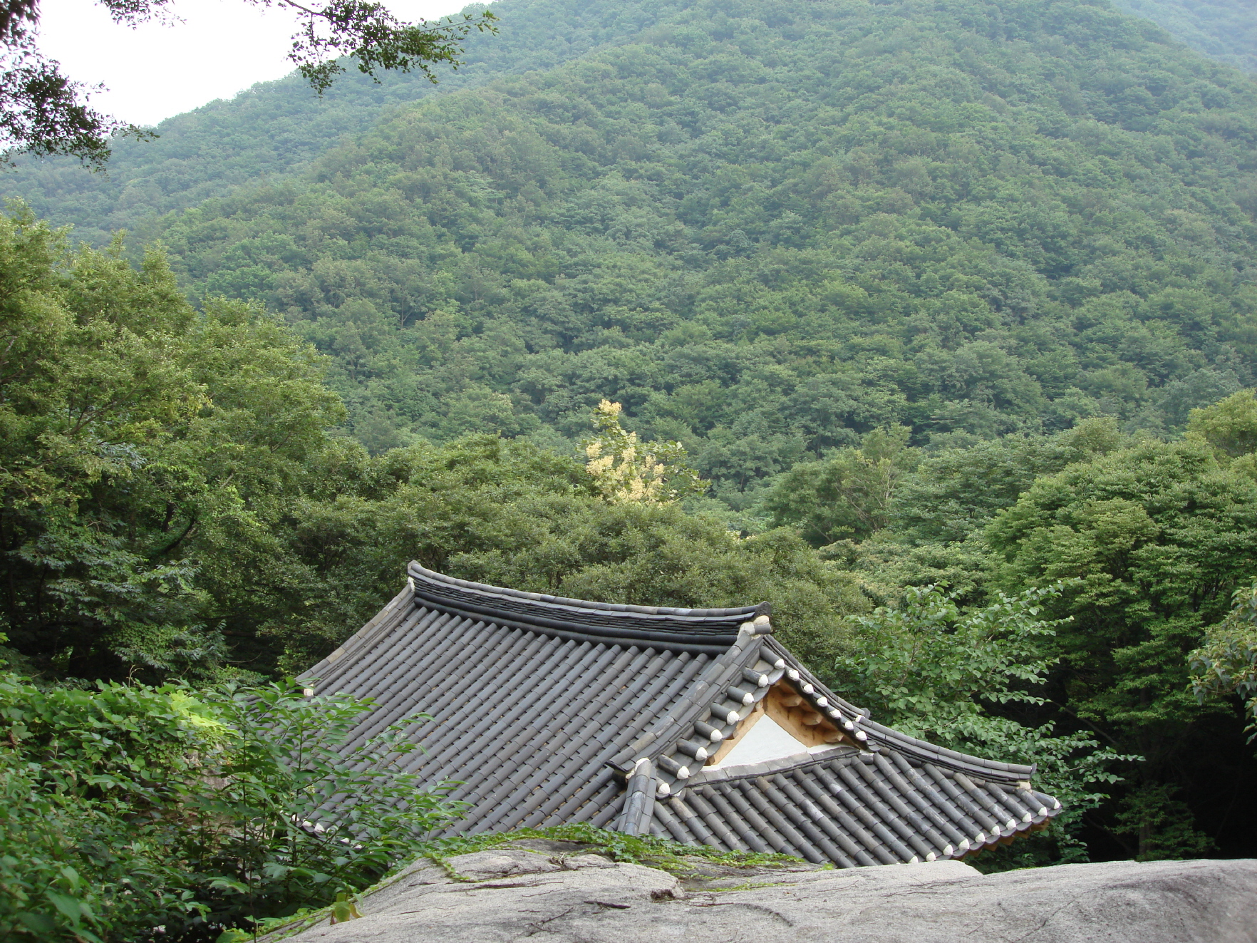 초연정과 주변 임야