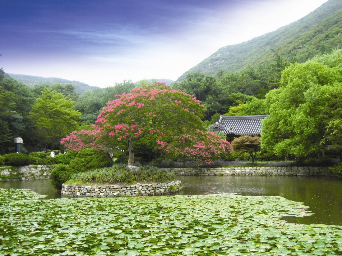 진도 운림산방