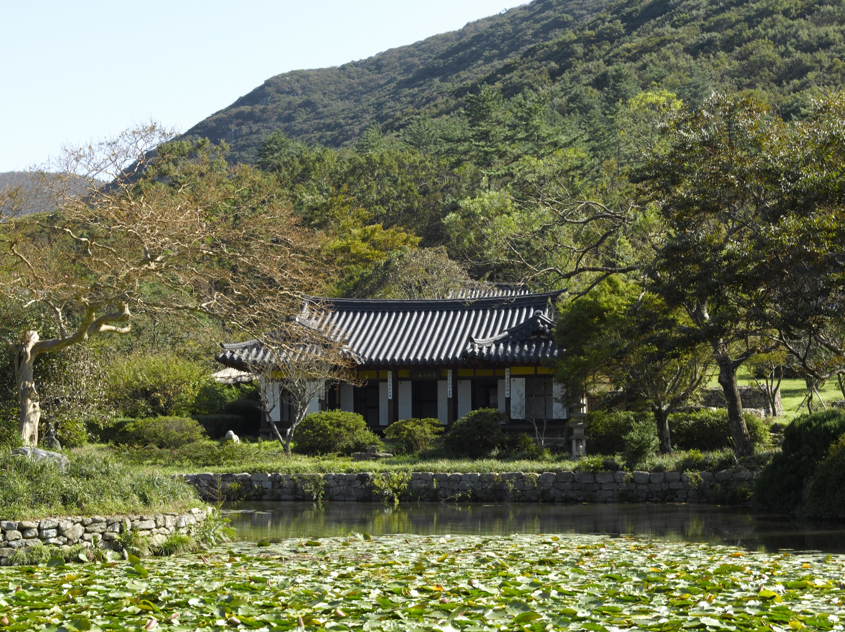 진도 운림산방 여름전경