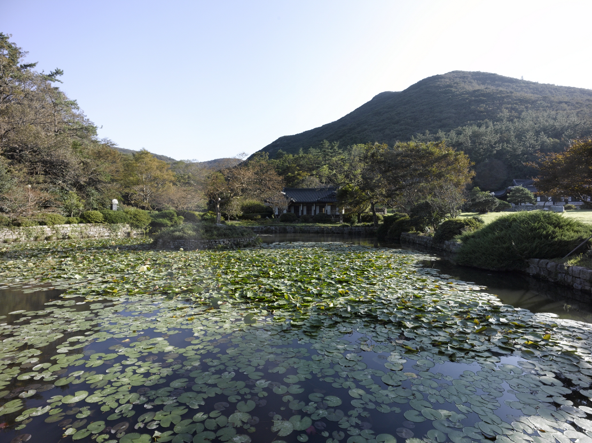 진도 운림산방 전경