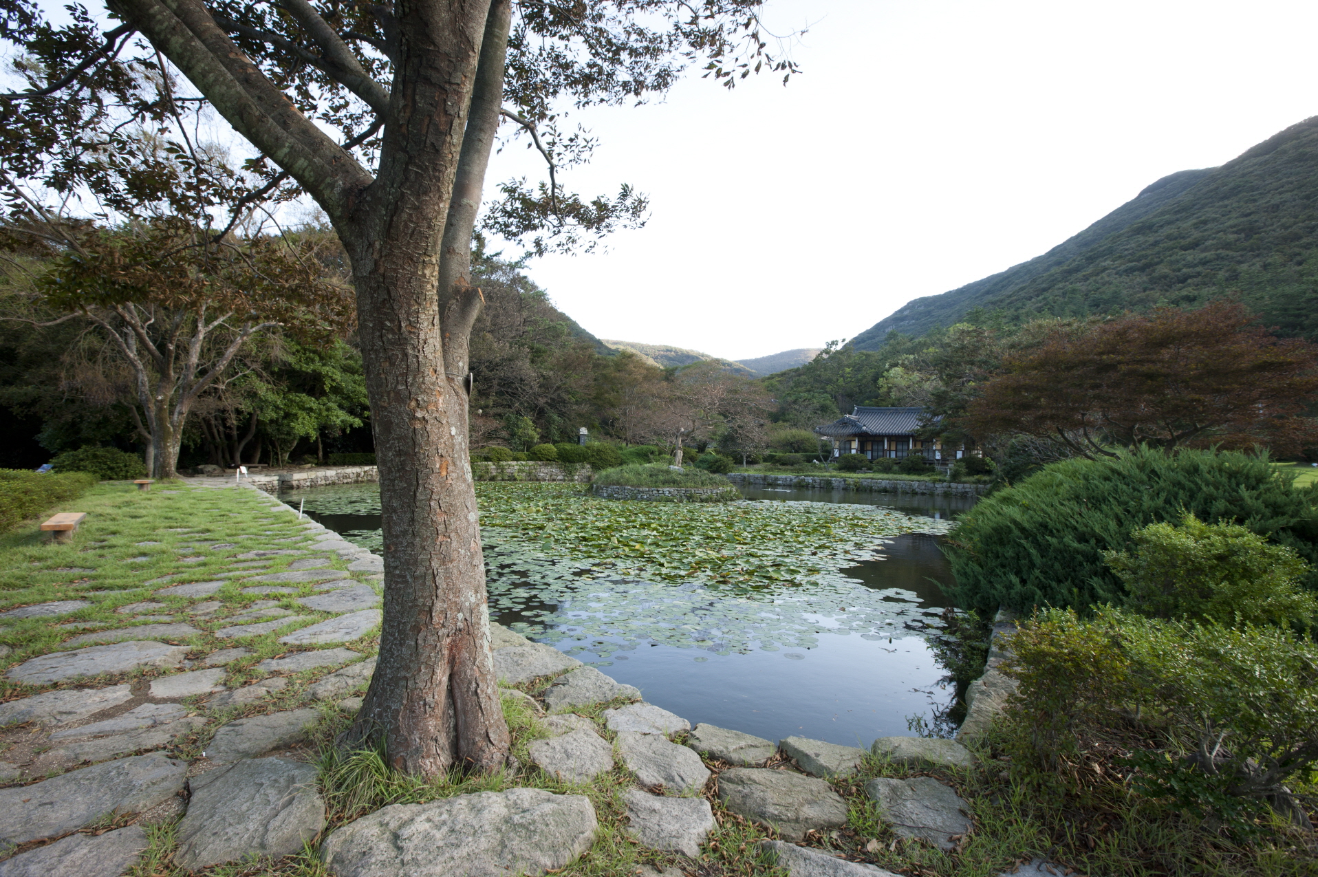 진도 운림산방 전경