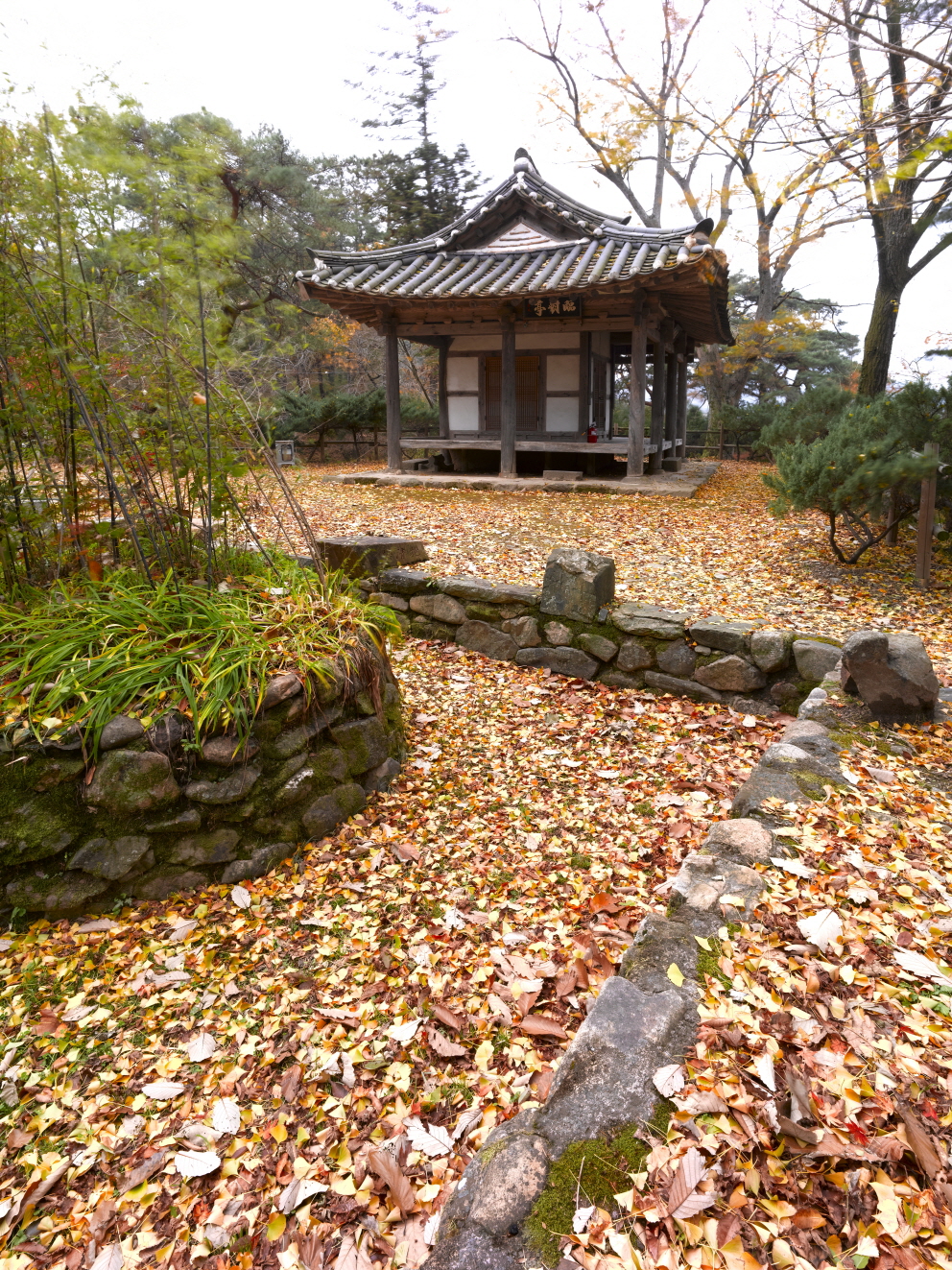 화순 임대정 원림