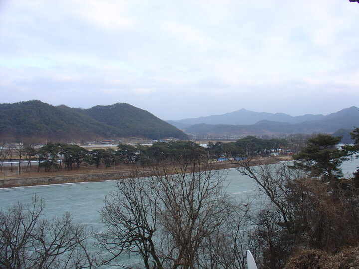 백운정 쑤 전경(송림)