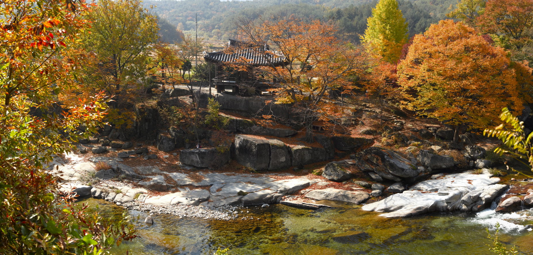 계곡 건너서 본 용암정일대의 가을전경