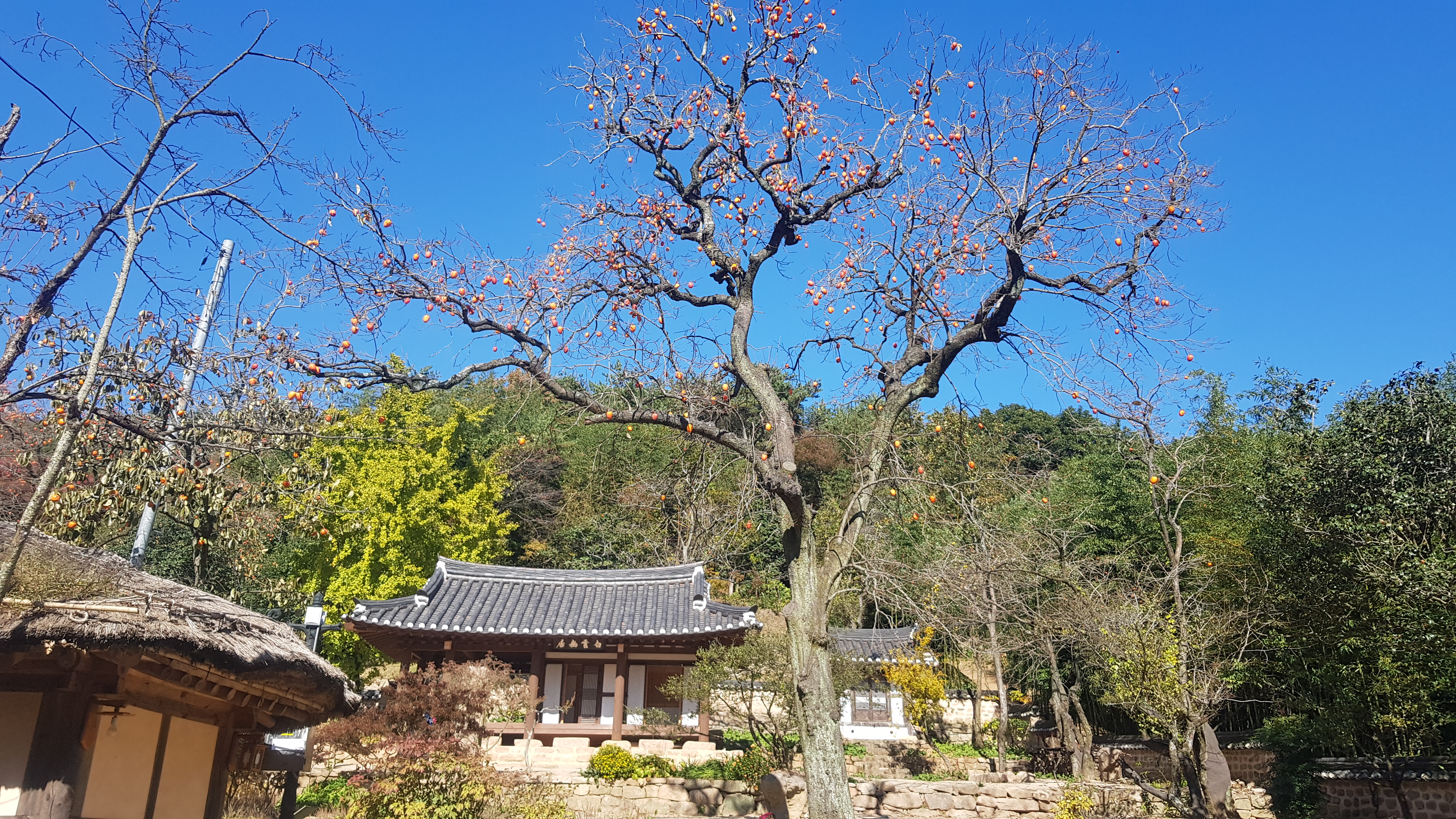 강진 백운동 원림