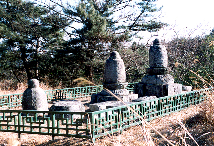 청송사지부도(전경)