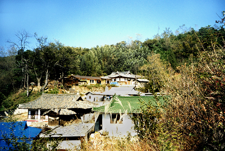 김종우가옥(원경)