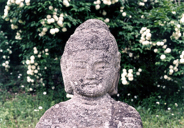 얼굴모습