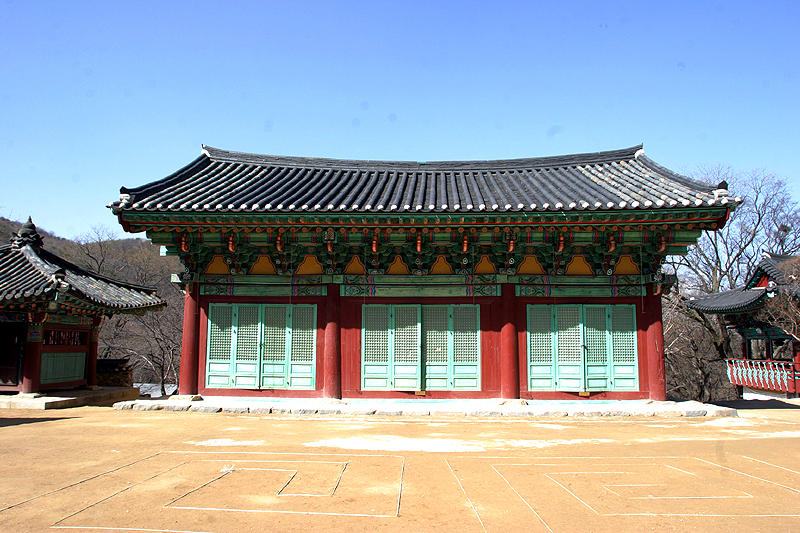 후면