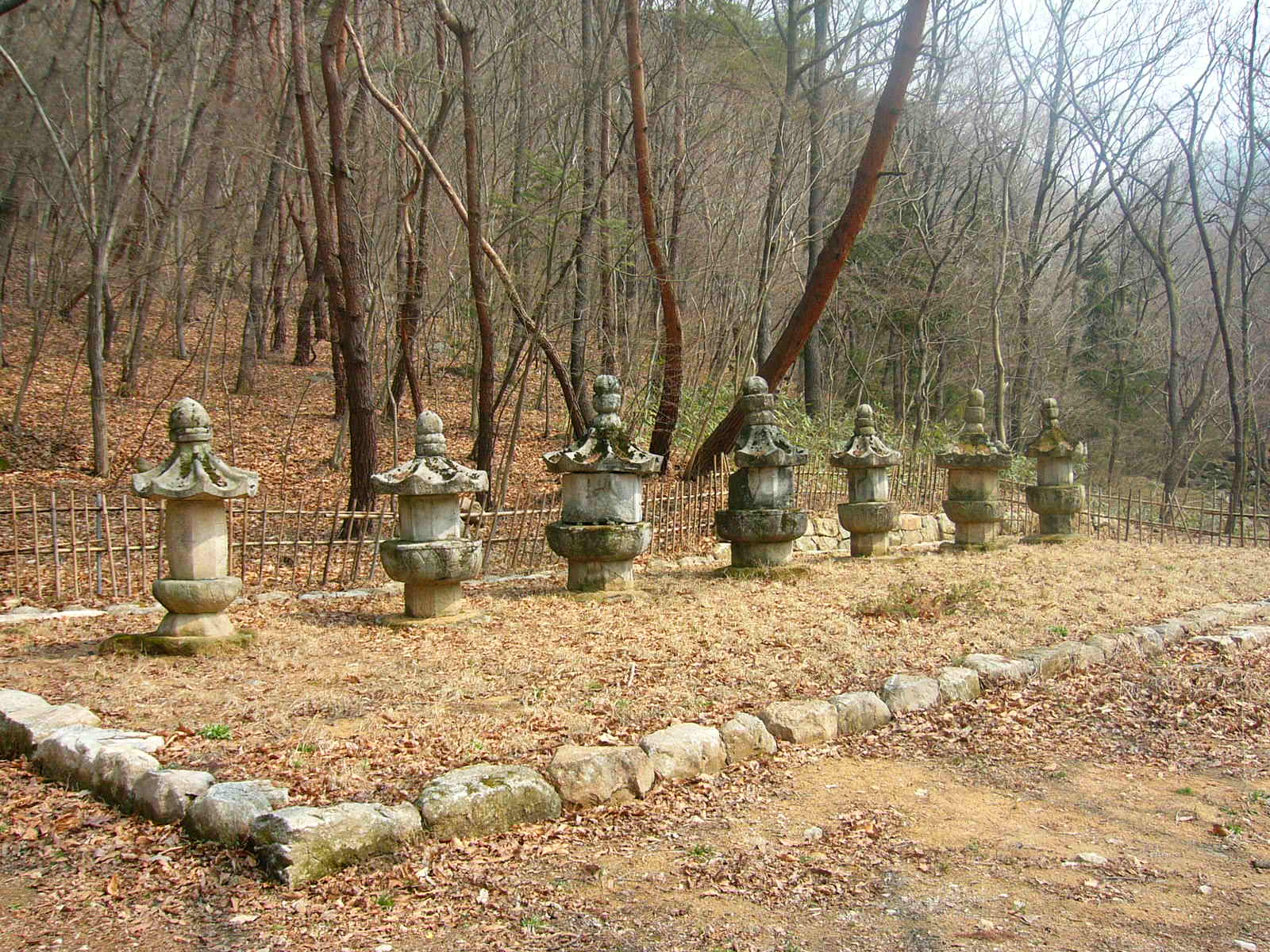 용흥사부도군