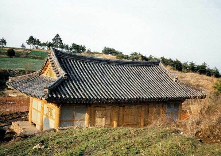 후면