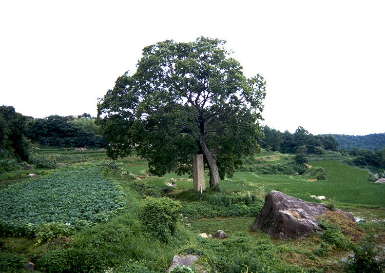 법수사지당간지주(하절기)
