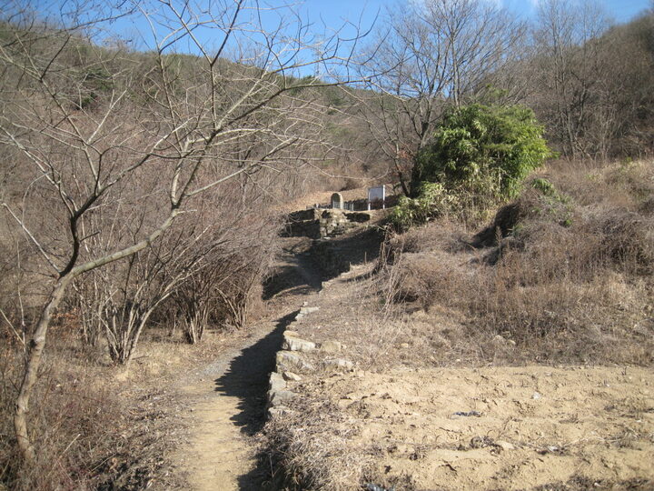 고령개포동석조관음보살좌상(고령군)