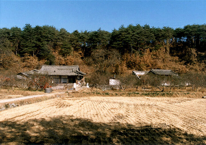 광산김씨긍구당고택(전경)