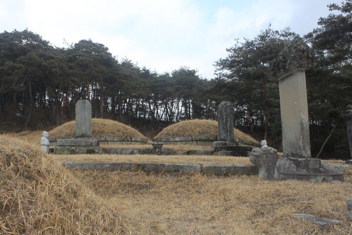 신고당 신도비 및 부부묘표 전경