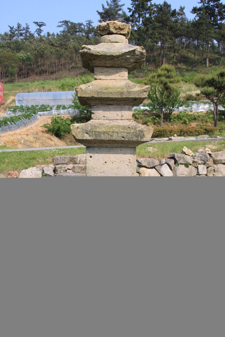 읍리 삼층석탑 전경