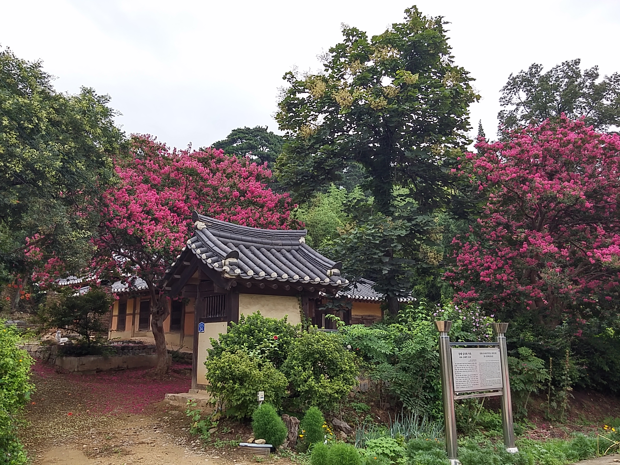 동해시
