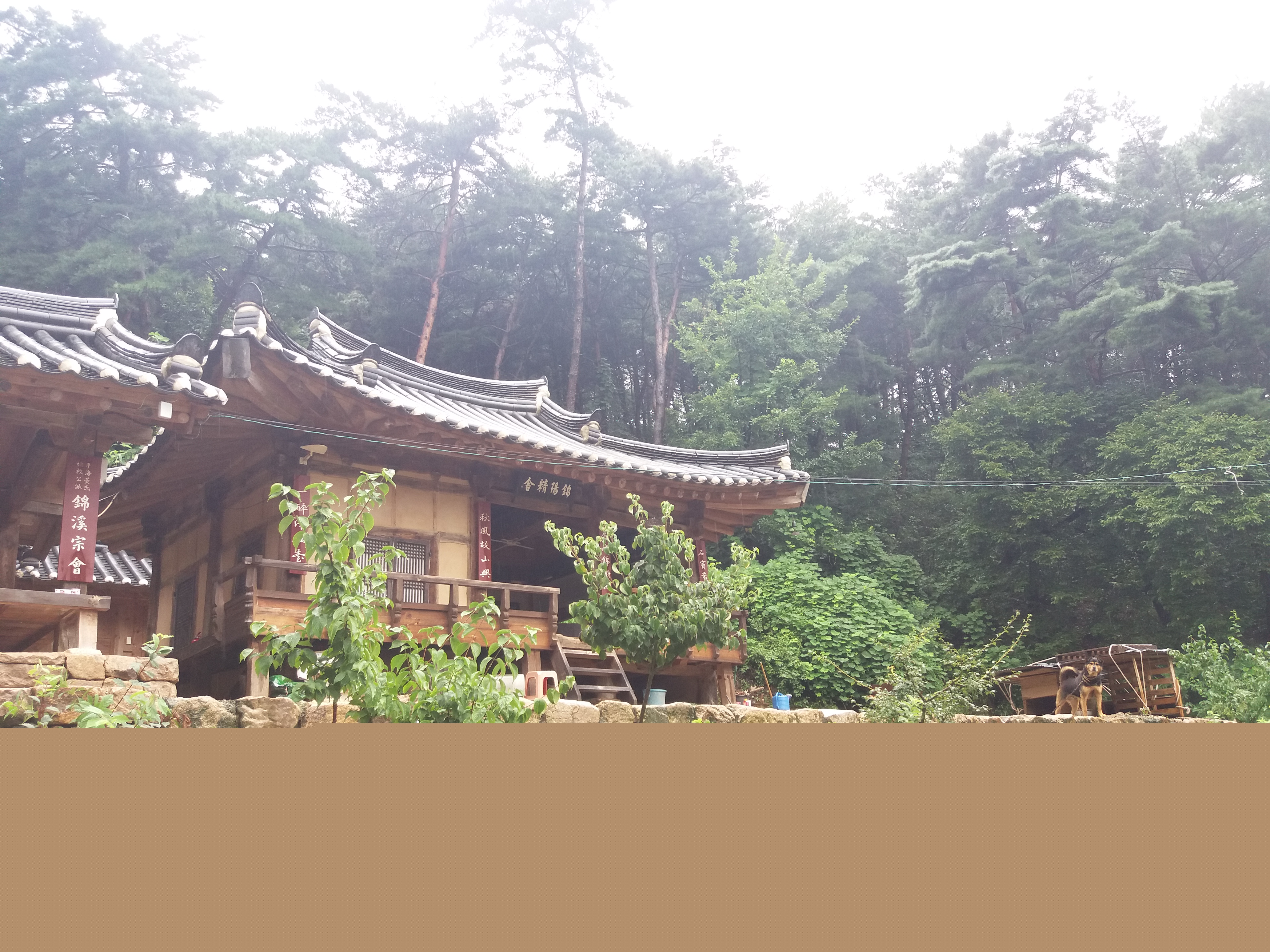 영주 금양정사