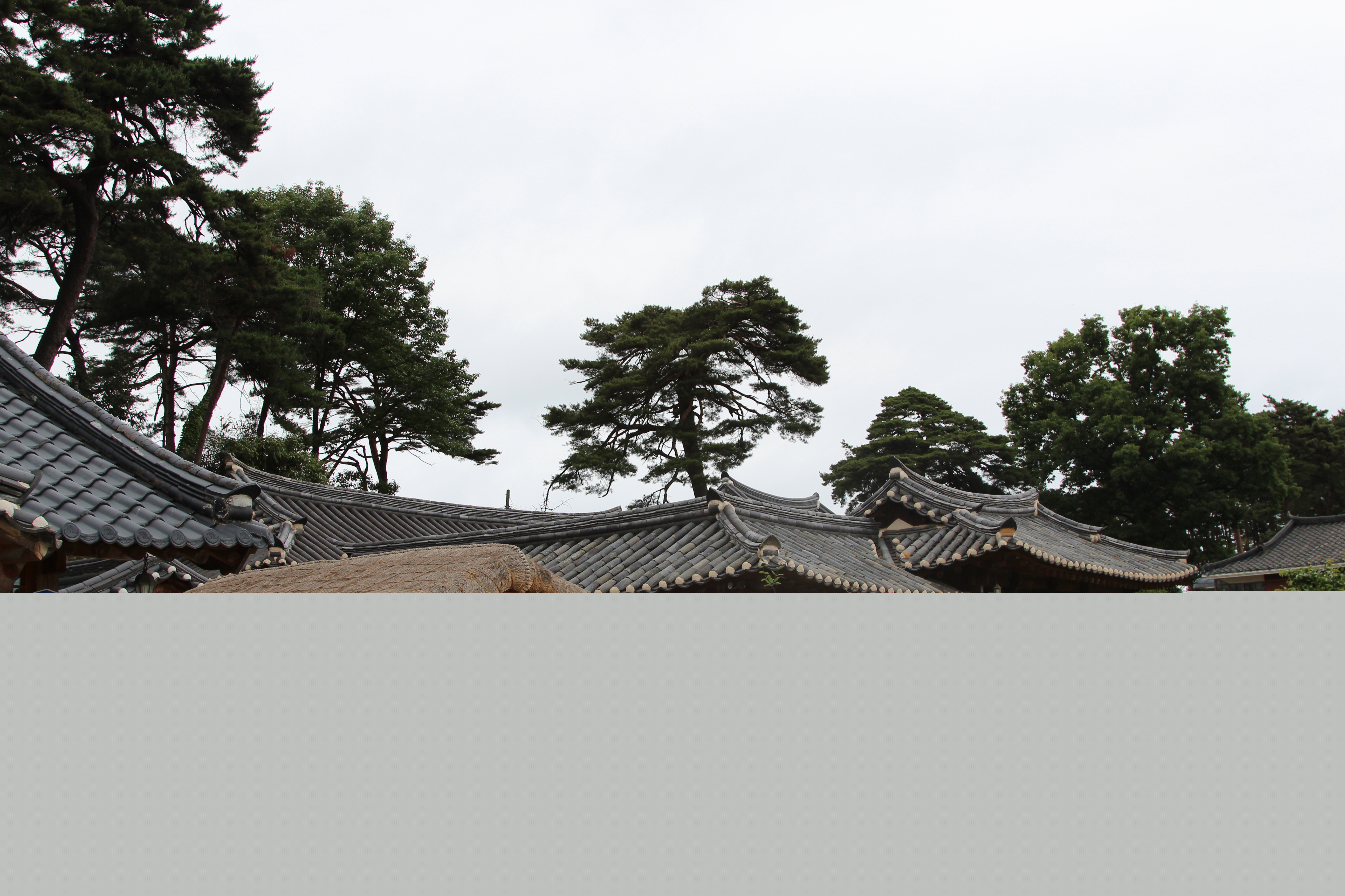강릉 수리골 고택
