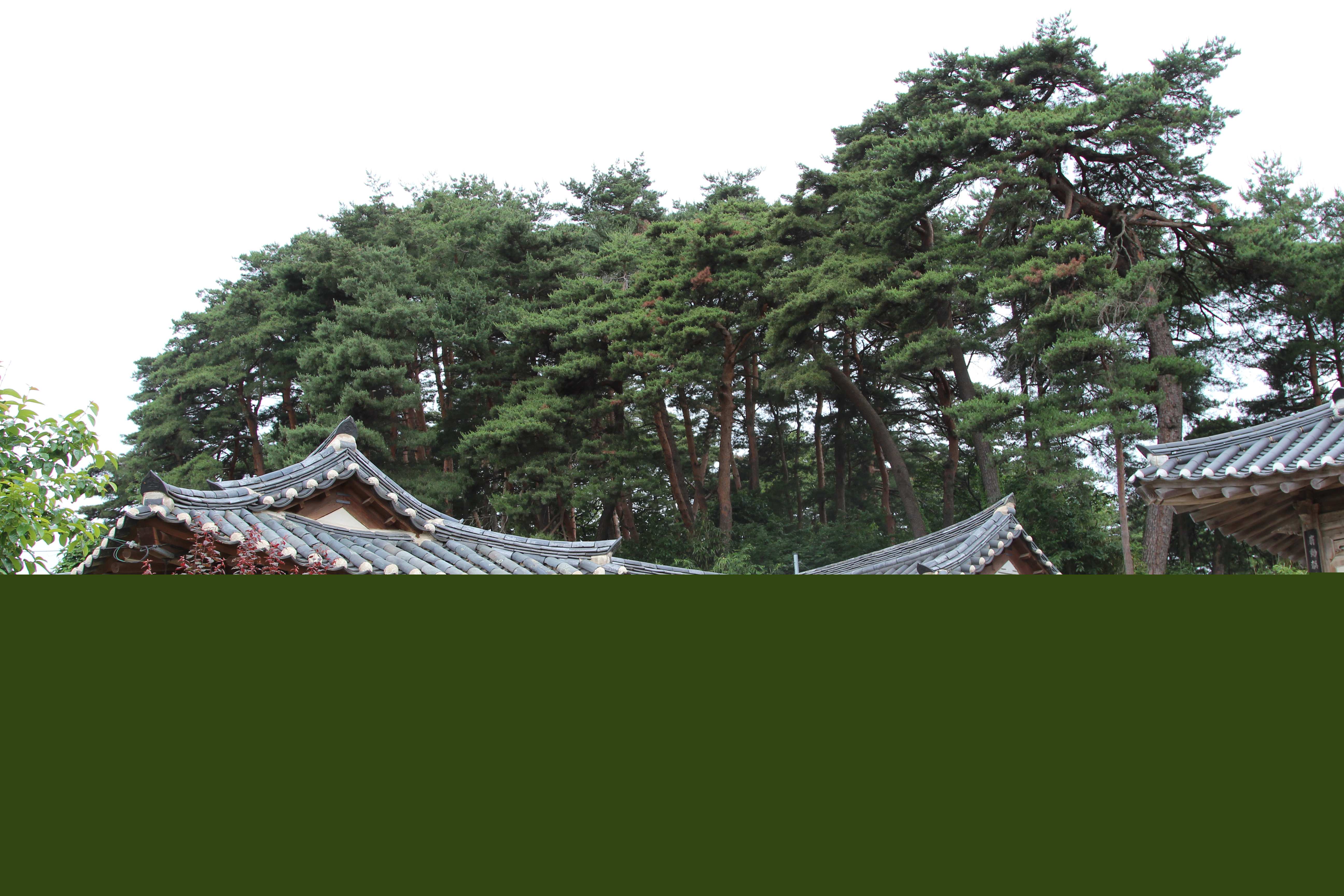강릉 수리골 고택