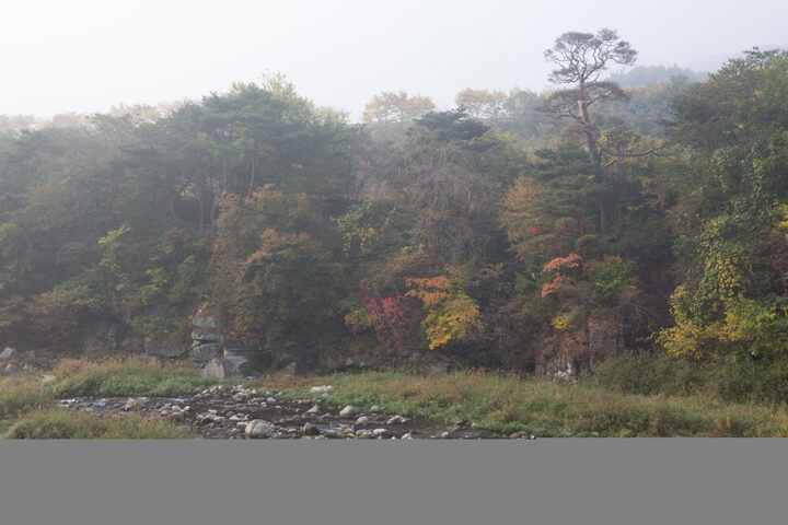 함양거연정_가을 (촬영년도 : 2015년)