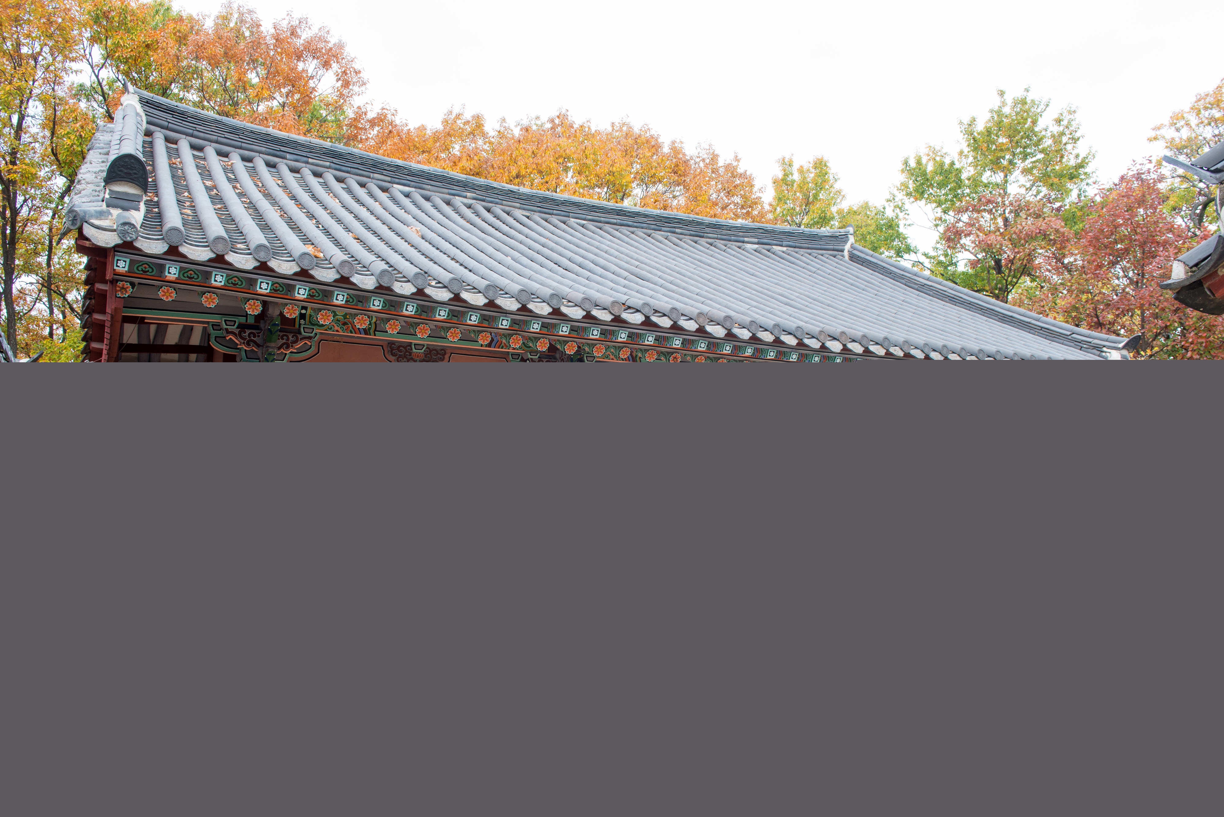 포항 흥해향교 대성전_서무에서 바라본 대성전 (촬영년도 : 2015년)