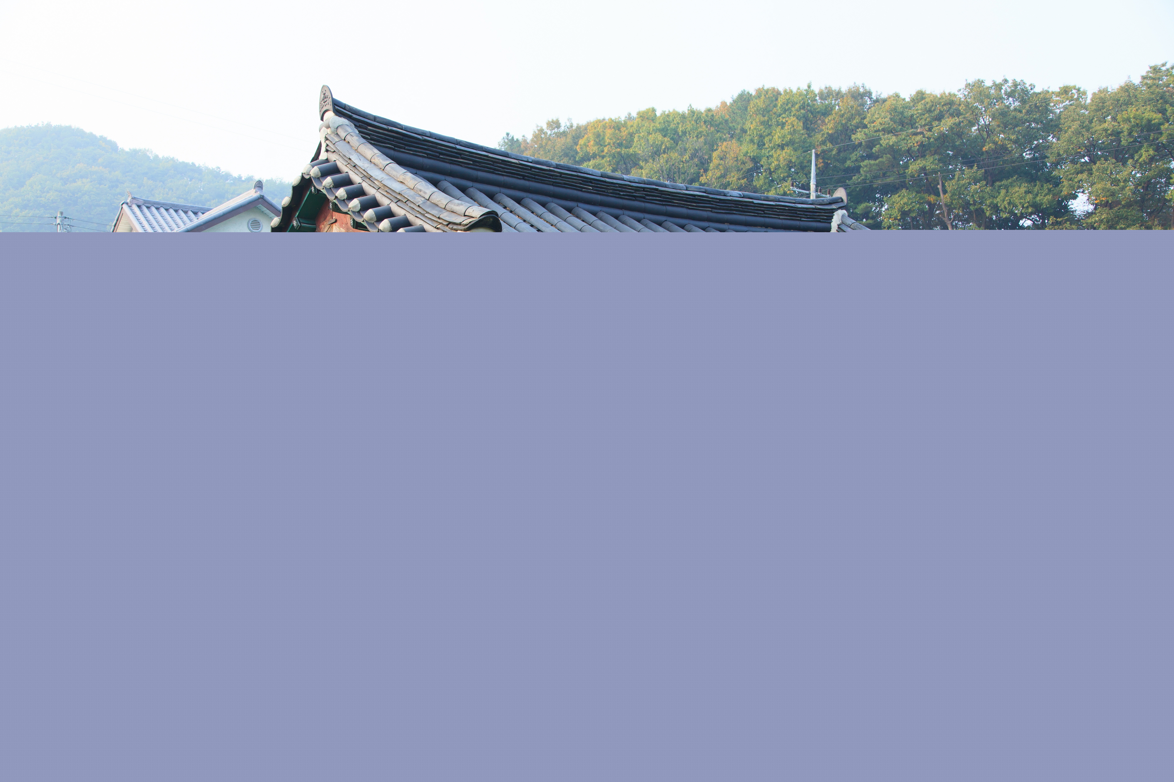 공주소학리효자향덕비_비각 좌측면 (촬영년도 : 2015년)